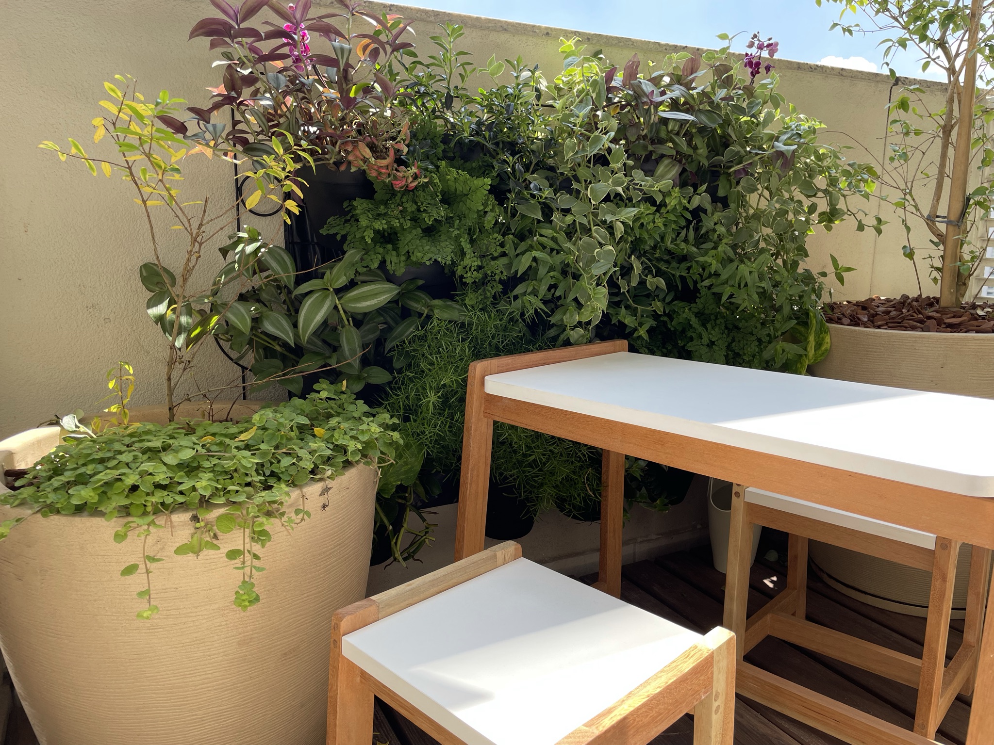 Varanda com plantas e mobiliário externo